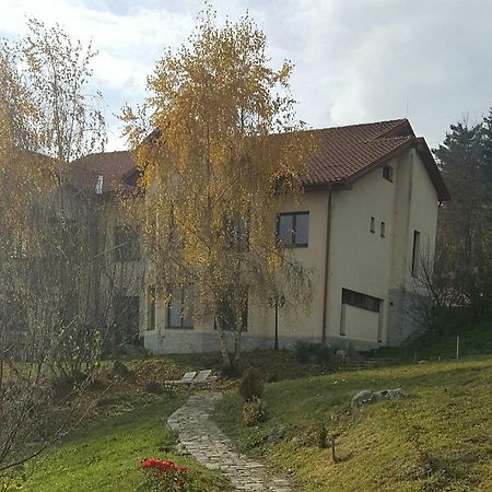 Trovanti Apartment Erdőfelek Kültér fotó