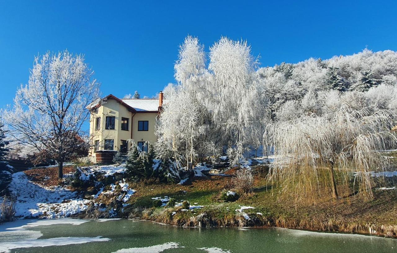 Trovanti Apartment Erdőfelek Kültér fotó