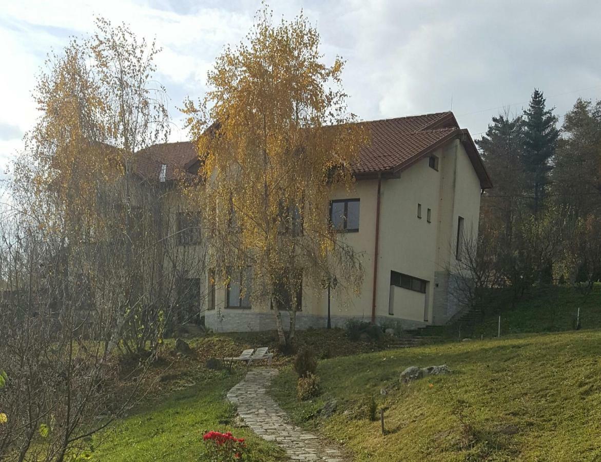 Trovanti Apartment Erdőfelek Kültér fotó