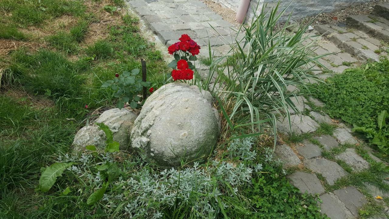 Trovanti Apartment Erdőfelek Kültér fotó